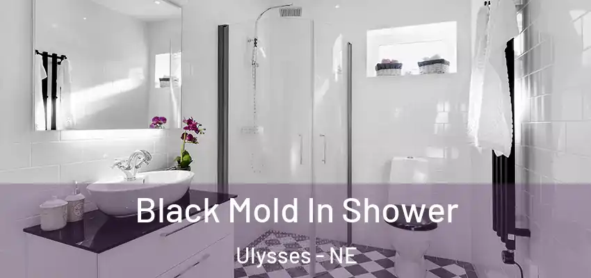 Black Mold In Shower Ulysses - NE