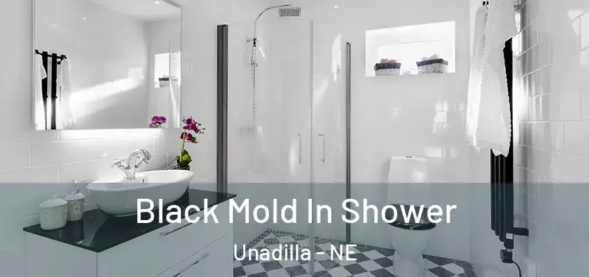  Black Mold In Shower Unadilla - NE