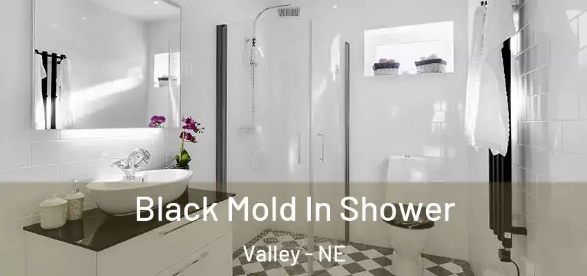 Black Mold In Shower Valley - NE
