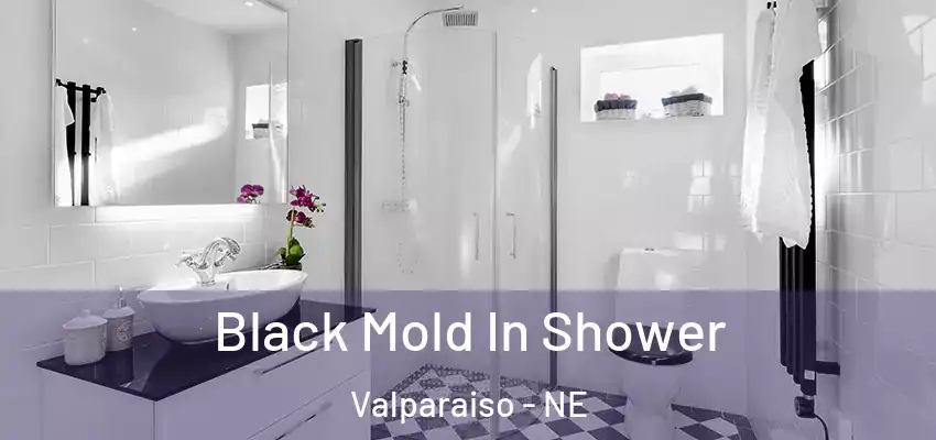  Black Mold In Shower Valparaiso - NE