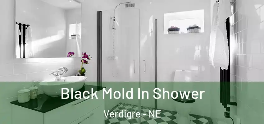  Black Mold In Shower Verdigre - NE