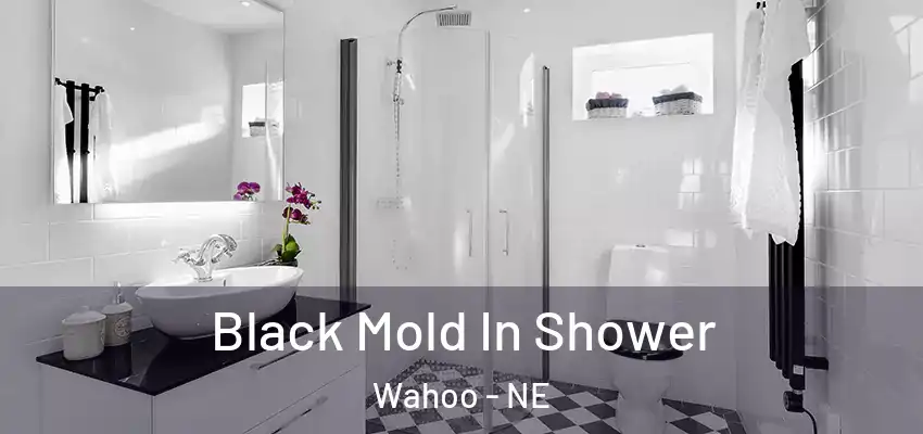  Black Mold In Shower Wahoo - NE