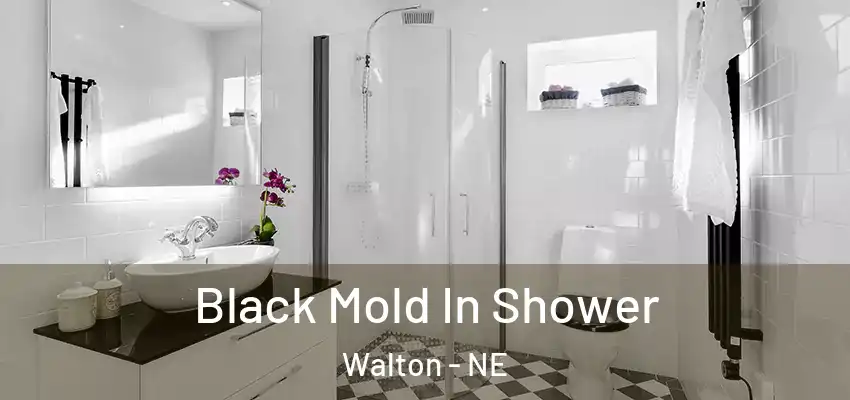 Black Mold In Shower Walton - NE
