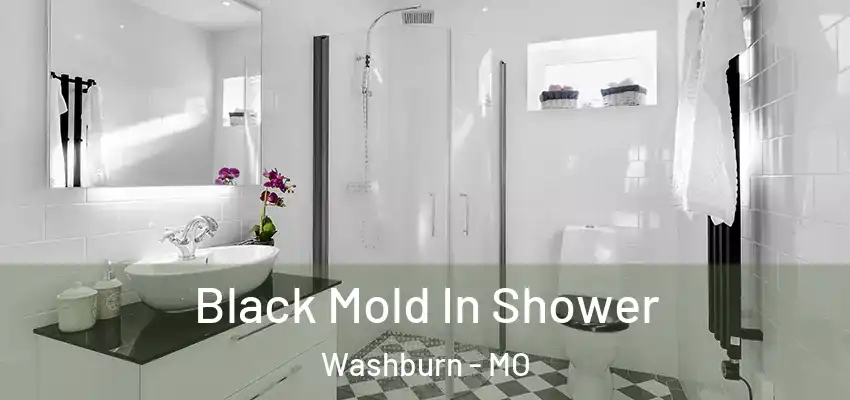 Black Mold In Shower Washburn - MO