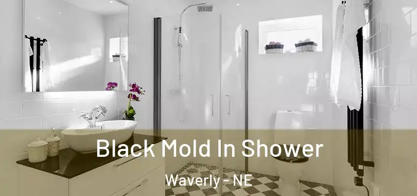  Black Mold In Shower Waverly - NE