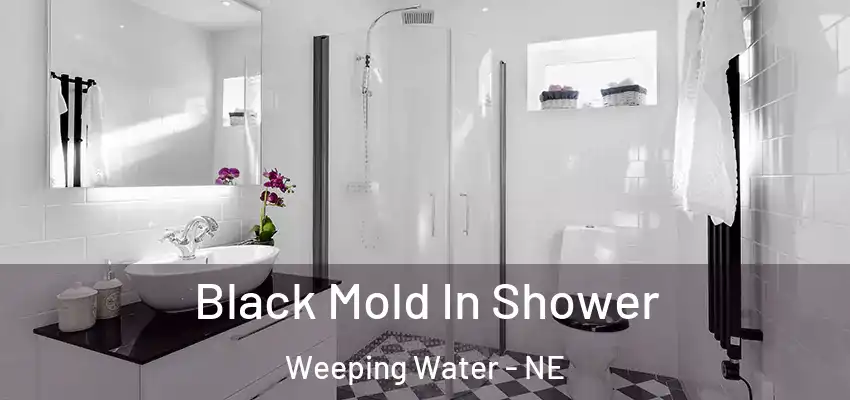  Black Mold In Shower Weeping Water - NE