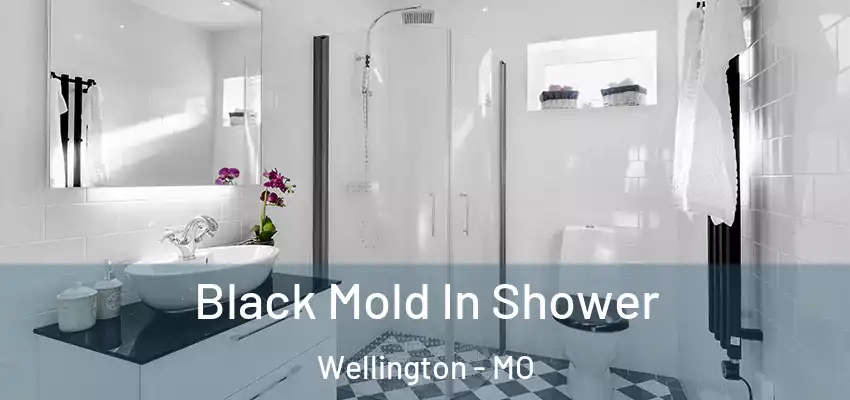  Black Mold In Shower Wellington - MO