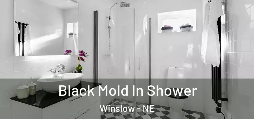  Black Mold In Shower Winslow - NE