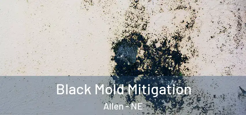  Black Mold Mitigation Allen - NE
