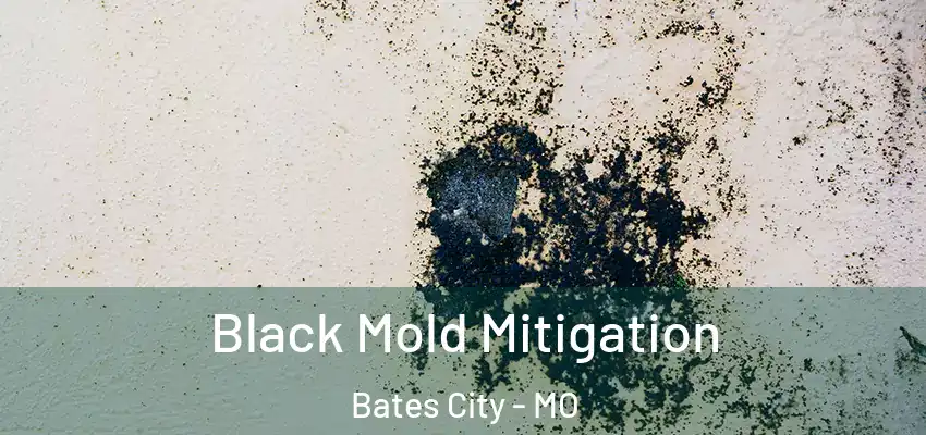  Black Mold Mitigation Bates City - MO