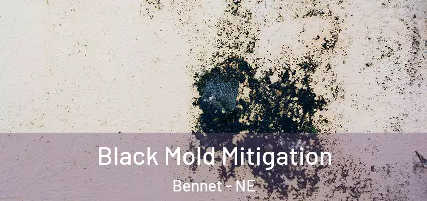  Black Mold Mitigation Bennet - NE