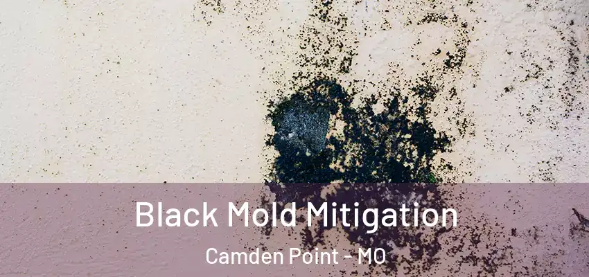  Black Mold Mitigation Camden Point - MO