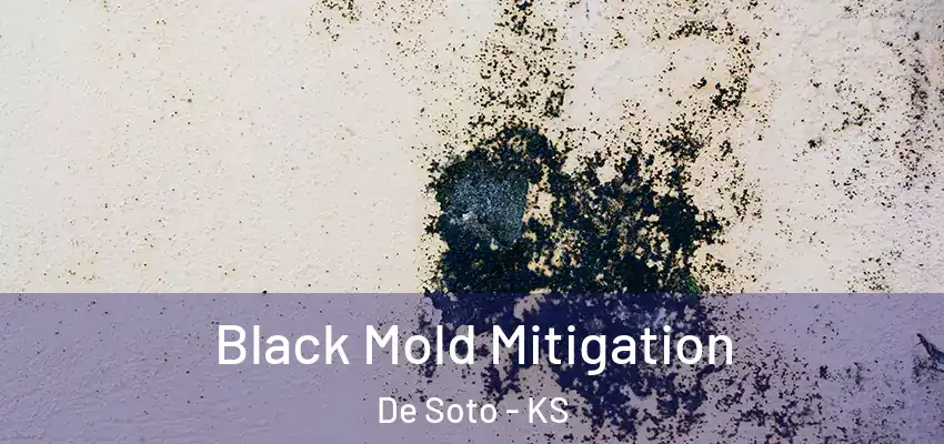  Black Mold Mitigation De Soto - KS