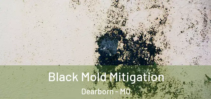  Black Mold Mitigation Dearborn - MO