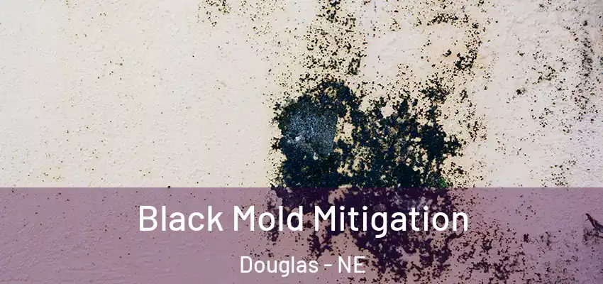 Black Mold Mitigation Douglas - NE