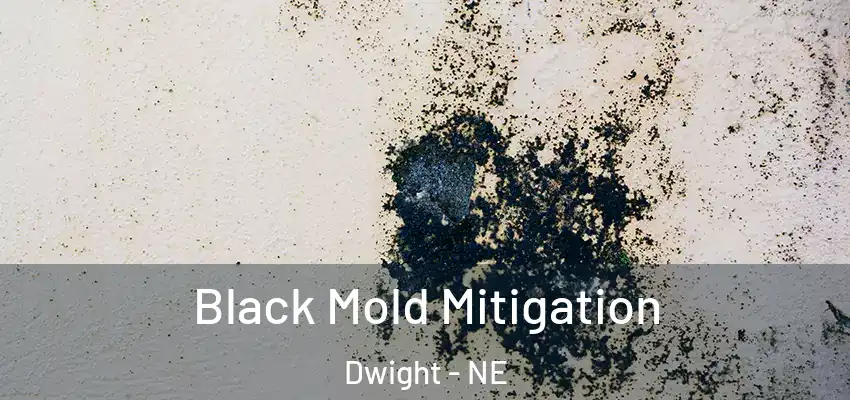 Black Mold Mitigation Dwight - NE
