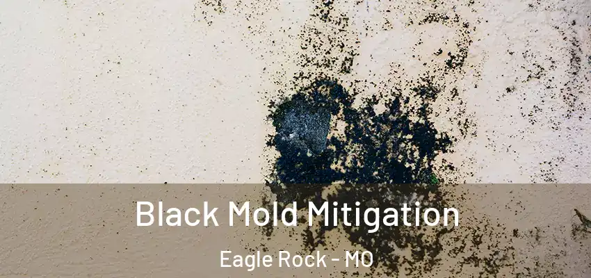  Black Mold Mitigation Eagle Rock - MO