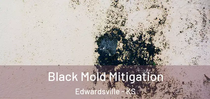  Black Mold Mitigation Edwardsville - KS