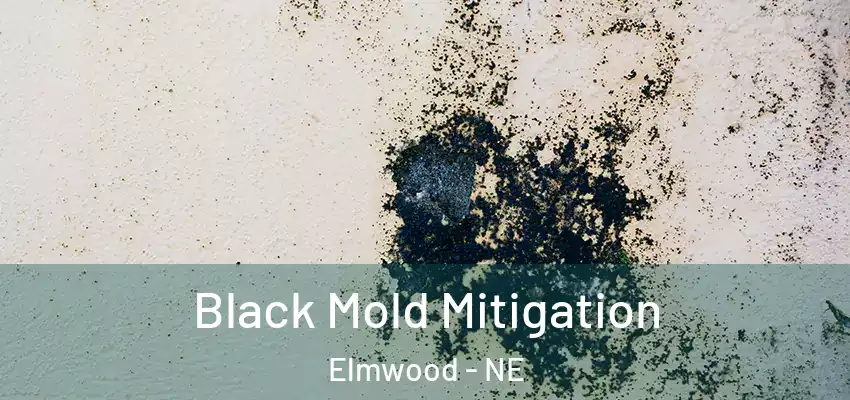 Black Mold Mitigation Elmwood - NE