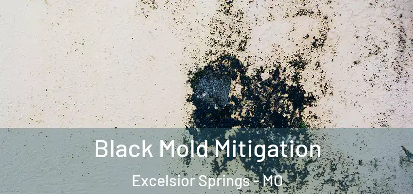 Black Mold Mitigation Excelsior Springs - MO