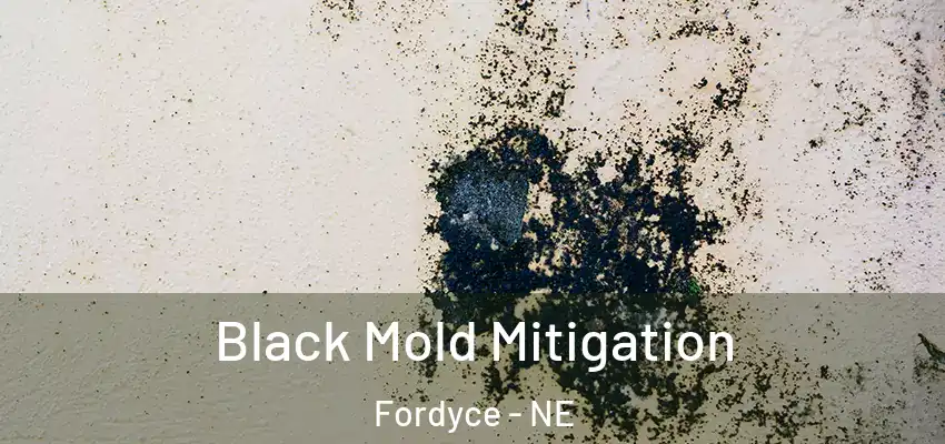  Black Mold Mitigation Fordyce - NE