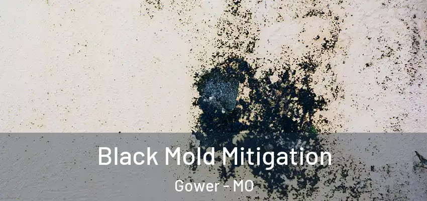  Black Mold Mitigation Gower - MO