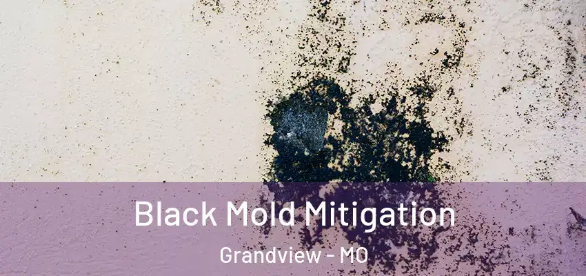 Black Mold Mitigation Grandview - MO