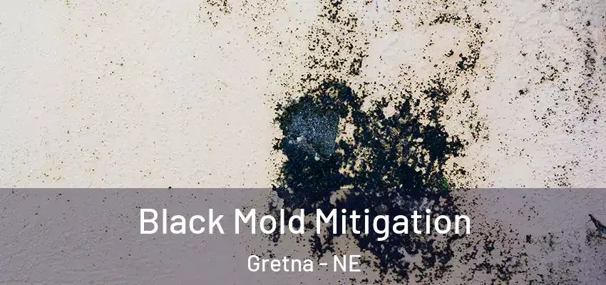  Black Mold Mitigation Gretna - NE