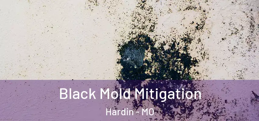 Black Mold Mitigation Hardin - MO