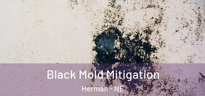  Black Mold Mitigation Herman - NE