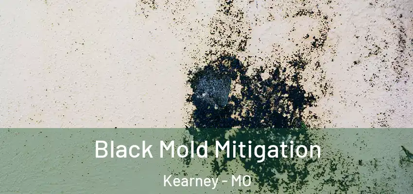 Black Mold Mitigation Kearney - MO