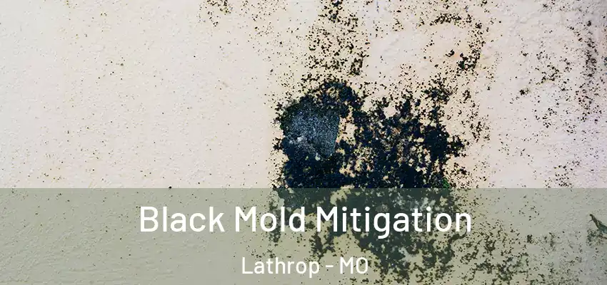 Black Mold Mitigation Lathrop - MO