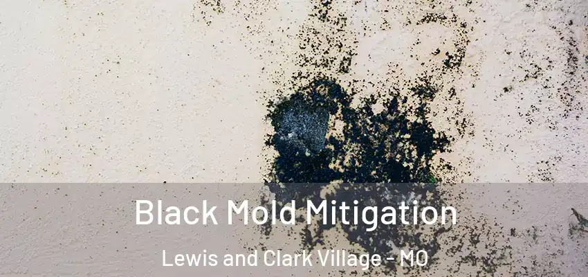 Black Mold Mitigation Lewis and Clark Village - MO
