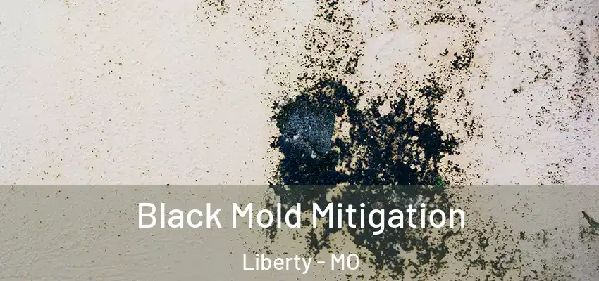  Black Mold Mitigation Liberty - MO