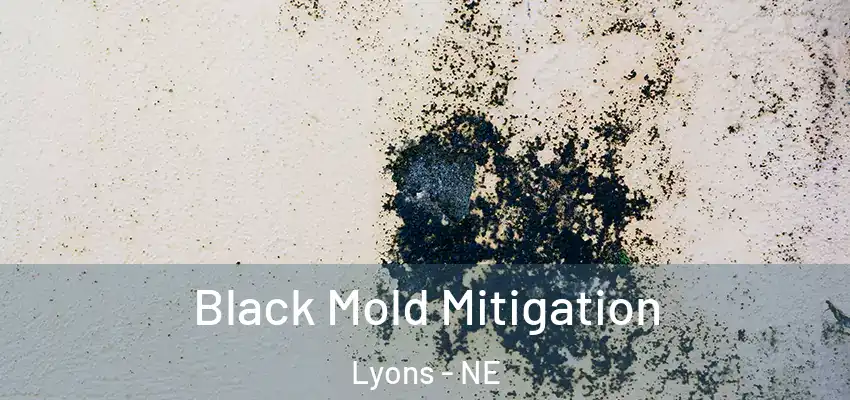  Black Mold Mitigation Lyons - NE
