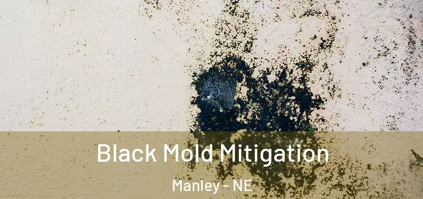  Black Mold Mitigation Manley - NE