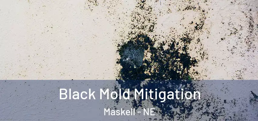  Black Mold Mitigation Maskell - NE
