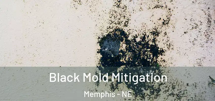 Black Mold Mitigation Memphis - NE