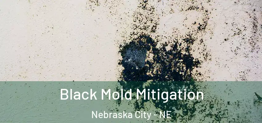  Black Mold Mitigation Nebraska City - NE