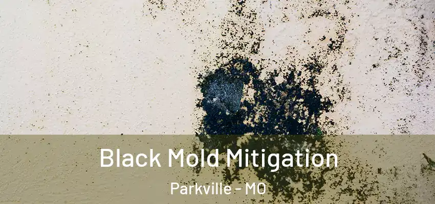 Black Mold Mitigation Parkville - MO