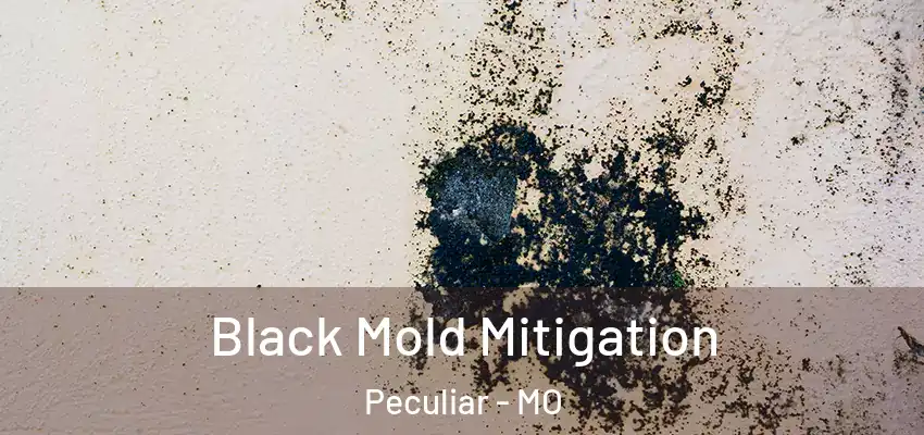 Black Mold Mitigation Peculiar - MO