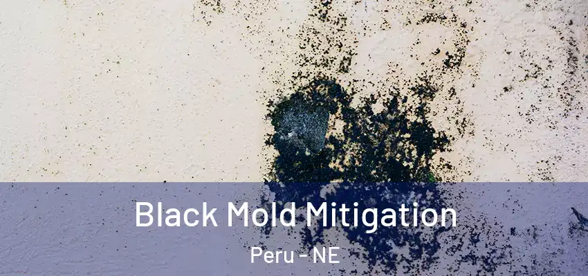 Black Mold Mitigation Peru - NE