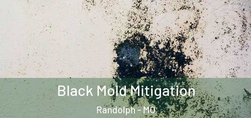  Black Mold Mitigation Randolph - MO