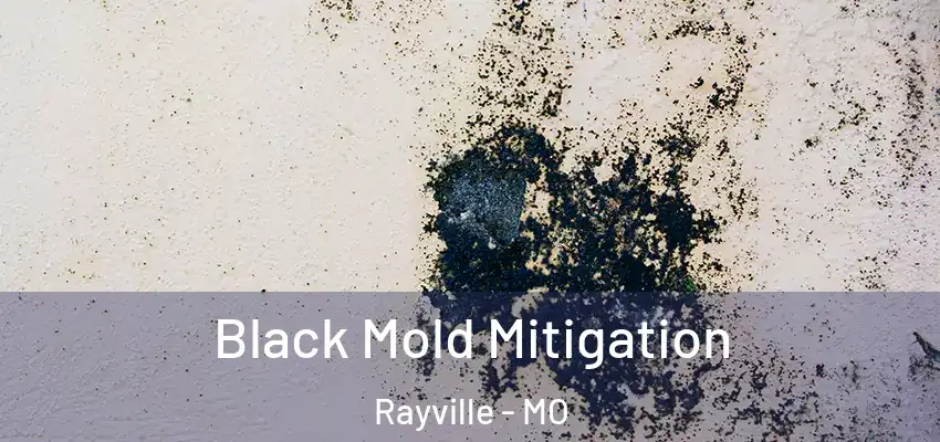  Black Mold Mitigation Rayville - MO