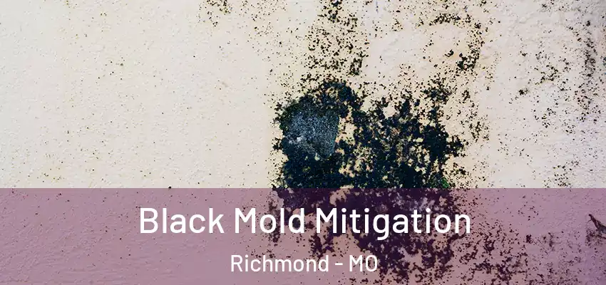  Black Mold Mitigation Richmond - MO