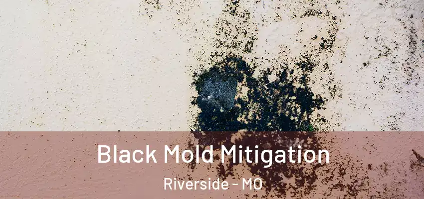  Black Mold Mitigation Riverside - MO