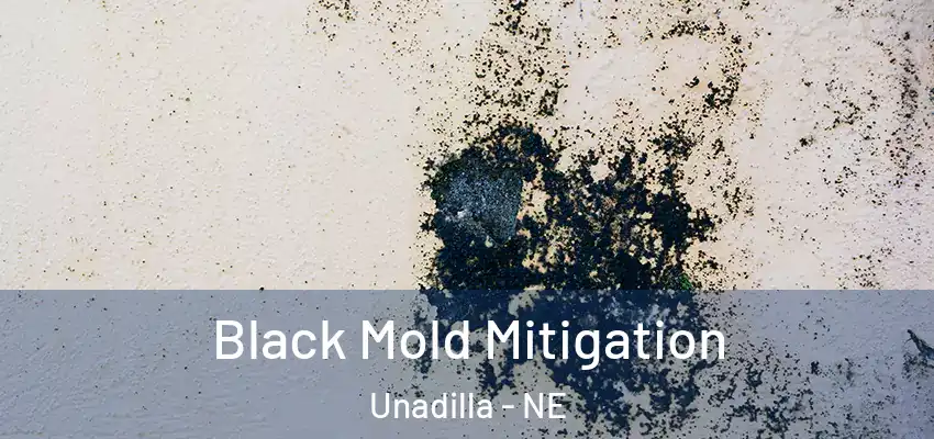  Black Mold Mitigation Unadilla - NE