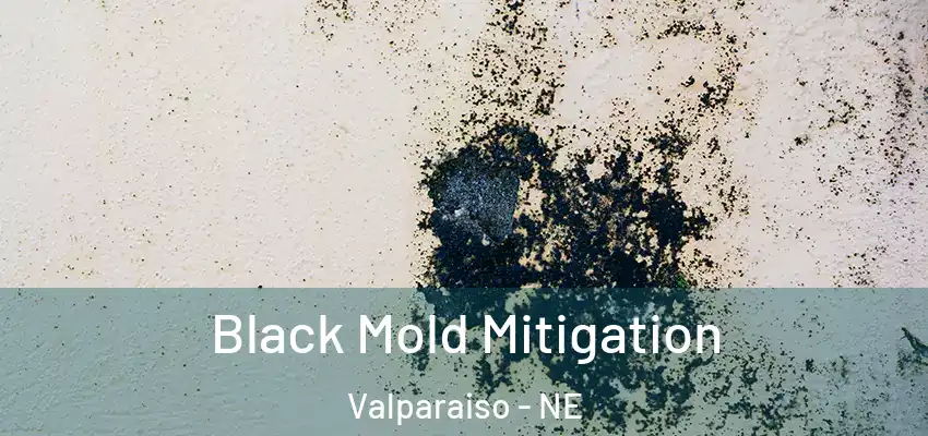  Black Mold Mitigation Valparaiso - NE