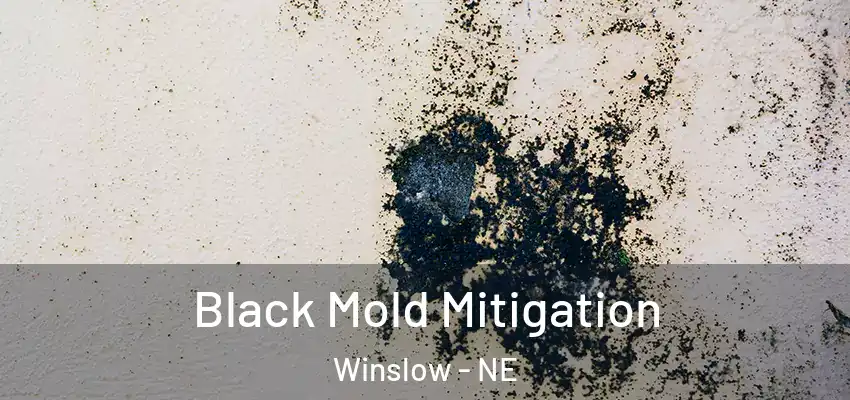  Black Mold Mitigation Winslow - NE
