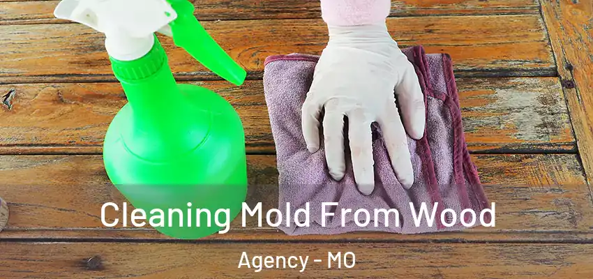  Cleaning Mold From Wood Agency - MO